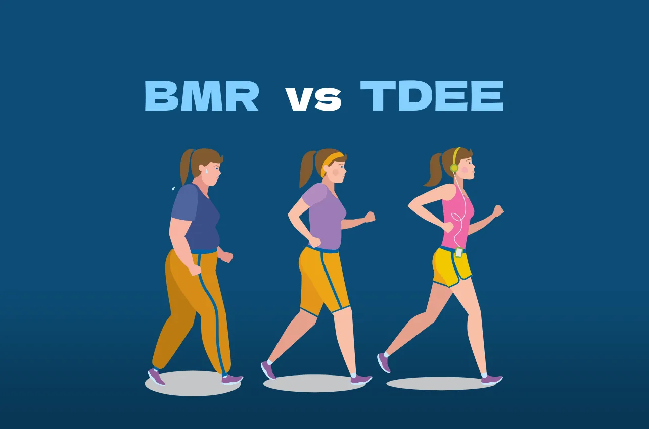 BMR vs TDEE breakdown by AI diet planner